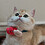 Jeanine_Li